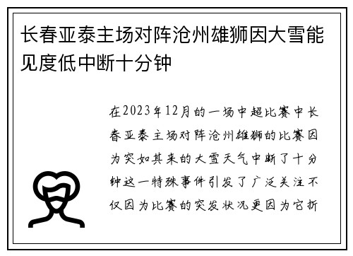 长春亚泰主场对阵沧州雄狮因大雪能见度低中断十分钟